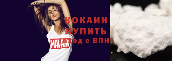 гашик Нея