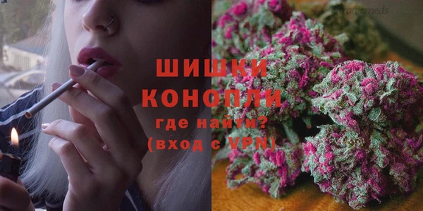 гашик Нея