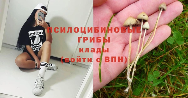 ECSTASY Нефтекумск