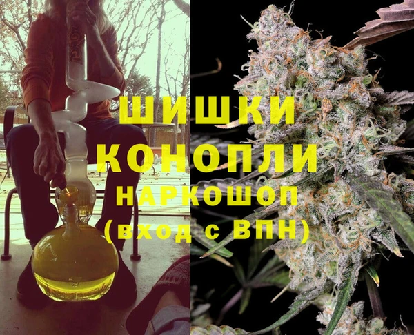 гашик Нея
